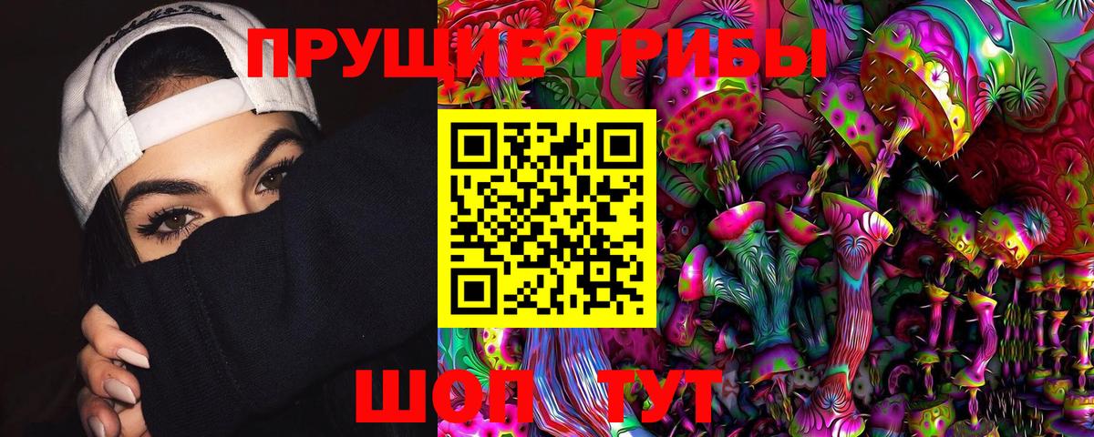 Ачхой-Мартан  Галлюциногенные грибы Magic Shrooms  Вход с VPN 