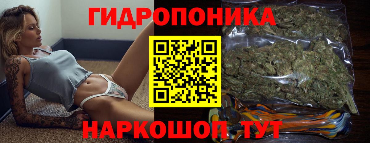 Ачхой-Мартан  Каннабис THC 21%  Канабис AK-47  Вход с VPN  Бошки марихуана тримм 